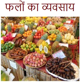 fruits retail in india, fruit shop design, profit margin in fruit business, fruits mart business, fresh cut fruit business plan in india, how to improve fruite business, how to start online fruits business, start a fruit business, how to start fruits business in india, fruits business plan ,selling fruits online, selling fruit for profit , fruit business plan in hindi, fruit business names, fresh cut fruit business plan, fruit business ideas in tamil, how to open fruit store, fruit stand design 