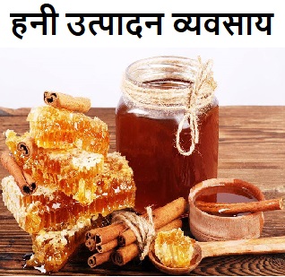 मधुमक्खी पालन उद्योग कैसे शुरू करे