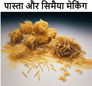 pasta and vermicelli making business idea in hindi