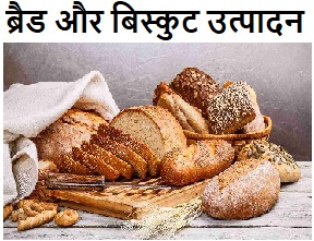 bread and biscuit making business idea in hindi