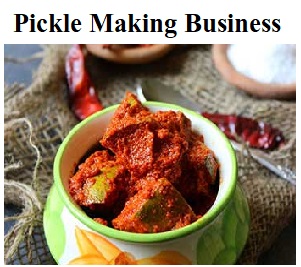 pickle startup, how to price homemade pickles, pickle production, how to start a chutney business ,how big is the pickle industry, pickle manufacturing business plan pdf, pickle startup in india, how to sell pickles from home, pickle making training, commercial pickling equipment, mango pickle processing flow chart, how to sell pickles online, pickles business plan sample, pickle business names, pickle manufacturing plant cost, executive summary of pickles, pickle business plan pdf, pickle udyog
